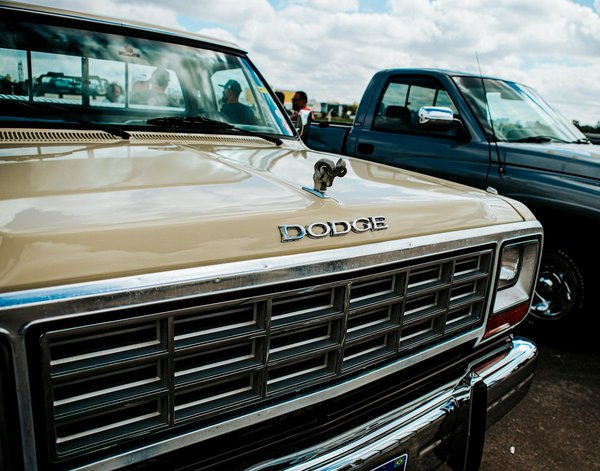 10 faits surprenants sur les clignotants